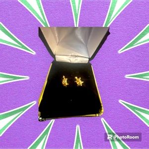 Earrings turtle 14k gold